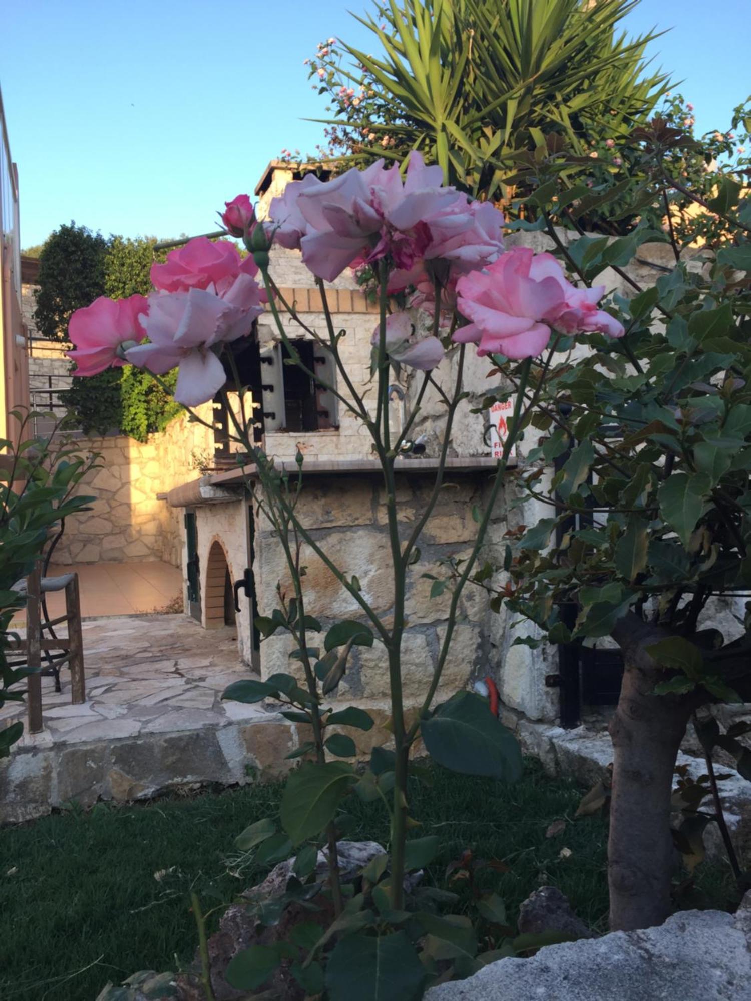 Meliades Villas Agia Marina Eksteriør bilde