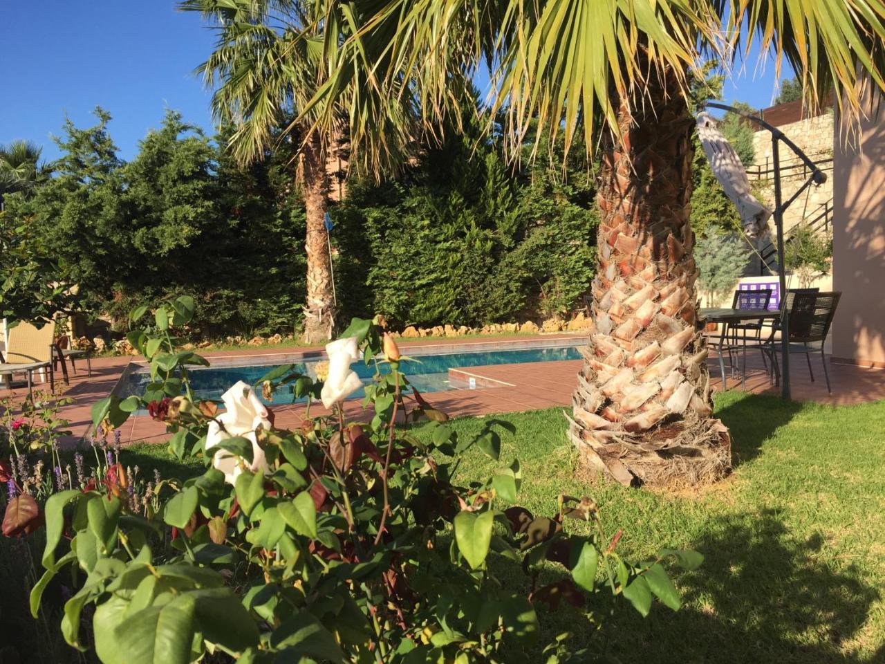 Meliades Villas Agia Marina Eksteriør bilde